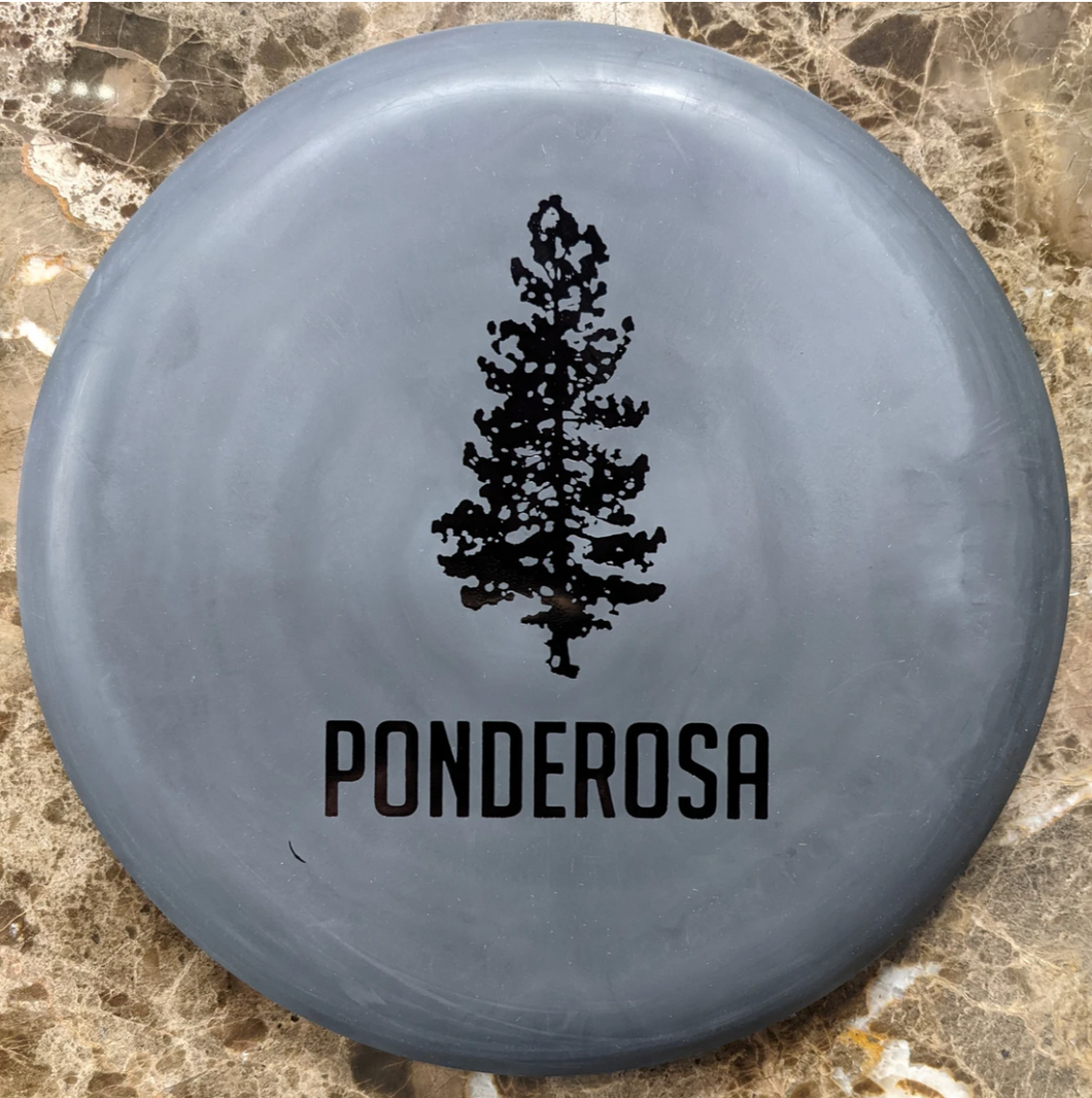 AGL Discs Woodland Ponderosa - Putt Approach